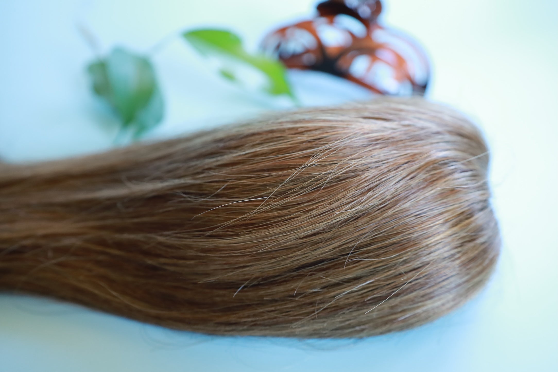 Ponytail marron 30 cm