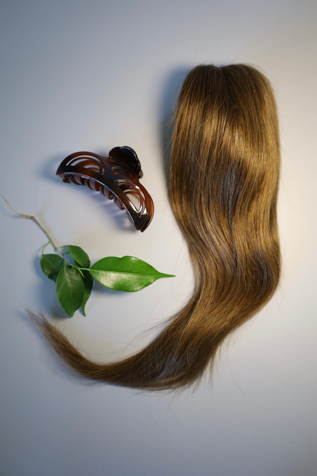 Ponytail marron 30 cm